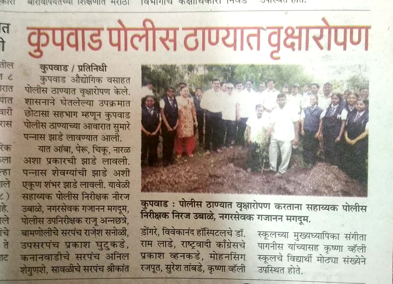 Tree Plantation